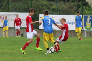 od体育网页版入口-北京国安签约巴西球员引发球迷热议和期待